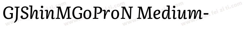 GJShinMGoProN Medium字体转换